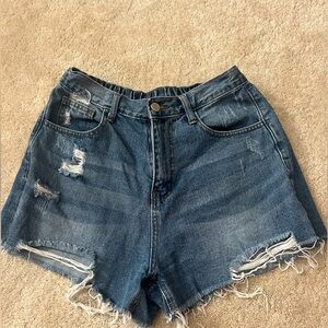 Aaron and Amber Shorts